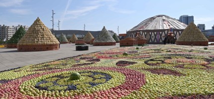 Дүйсенова жәрмеңкедегі «жабайылық» туралы: «Елдің имиджіне өзіміз жауаптымыз»