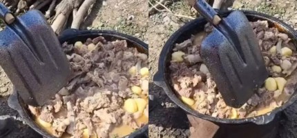 «Оңтүстік десе ренжиді»: желідегі видео жұртты шулатты
