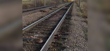 СҚО-да 20 бас мал пойыздың астында қалып қойды