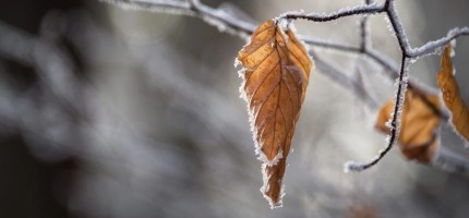 Жаңбыр жауып, үсік жүреді: 17 қазанға арналған ауа райы болжамы
