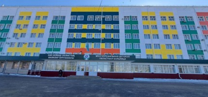 СҚО-дағы ауруханада қару ұстаған жасөспірім дәрігер мен науқасқа шабуыл жасады