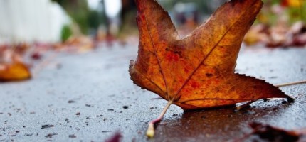 8 қарашаға арналған ауа райы болжамы жарияланды