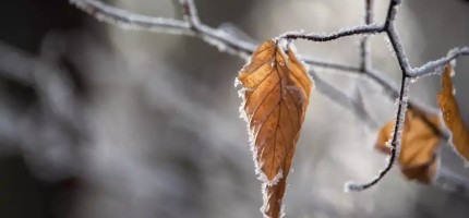Ауа райы: 15 қараша еліміздің кей өңірінде күн райы бұзылады