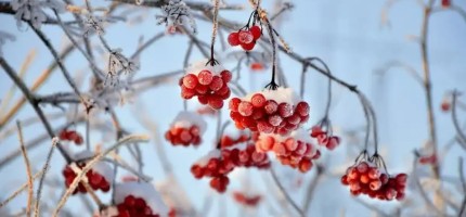 Ауа райы: 19 қарашада еліміздің бірқатар аймағында үсік жүреді
