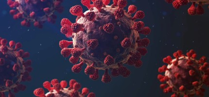 COVID-19: Әлемді дүр сілкіндірген вирус шынымен Қытайда пайда болды ма?