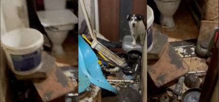 Көршілерінің өмірін тозаққа айналдырған – Ақтөбе облысындағы жағдай (ВИДЕО)