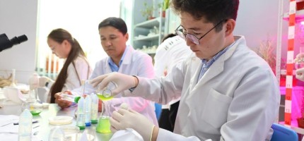 Металл жұтқан өсімдік: Қазақ ғалымдарының әлемдік жаңалығы
