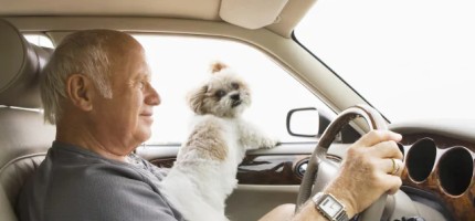 Қыдырып жүріп, 62 жастағы кемпірін жол бойында ұмытып кеткен