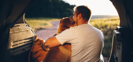 Алматыда ер адам итпен отбасын құрып, интимді әрекет жасаған