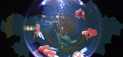 «Қазақстанда көп адам аквариумдағы балықтай өмір сүреді» – кәсіпкер