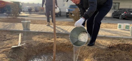 «Таза Қазақстан»: Ақтауда 7 мыңнан астам ағаш отырғызылды