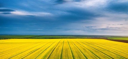 АШМ: Қазақстан мол пайда әкелетін дақылдарды егуге басымдық бермек