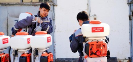 Астанада маса мен шіркейге қарсы күрес жұмысы қалай өтеді?