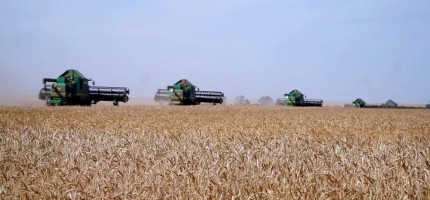2025 жылы агроөнеркәсіп кешеніне бөлінген қолдау көлемі 1,1 трлн теңгеге жетті