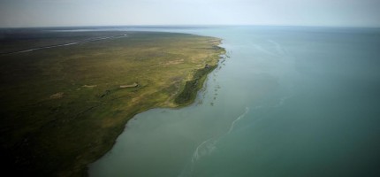 Тамшының тағдыры: Қазақстан ғалымдары суды сақтаудың жаңа жолдарын іздеп жатыр