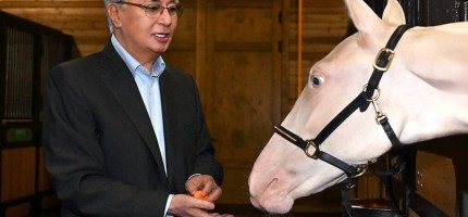 Жарқыраған Ақжан: Астанада туған ерекше жылқы несімен таңғалдырады?
