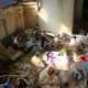 Қоқыстың ортасындағы әйел үйіне 25 ауру мысықты әкеліп баққан (ВИДЕО)