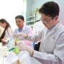 Металл жұтқан өсімдік: Қазақ ғалымдарының әлемдік жаңалығы