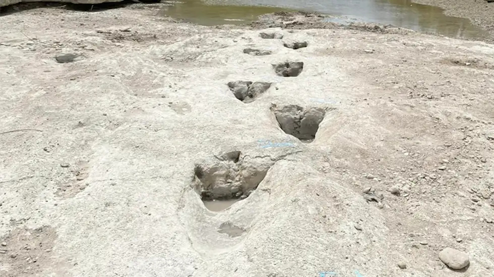 Техас штатынан бор дәуіріндегі динозаврлардың іздері табылды